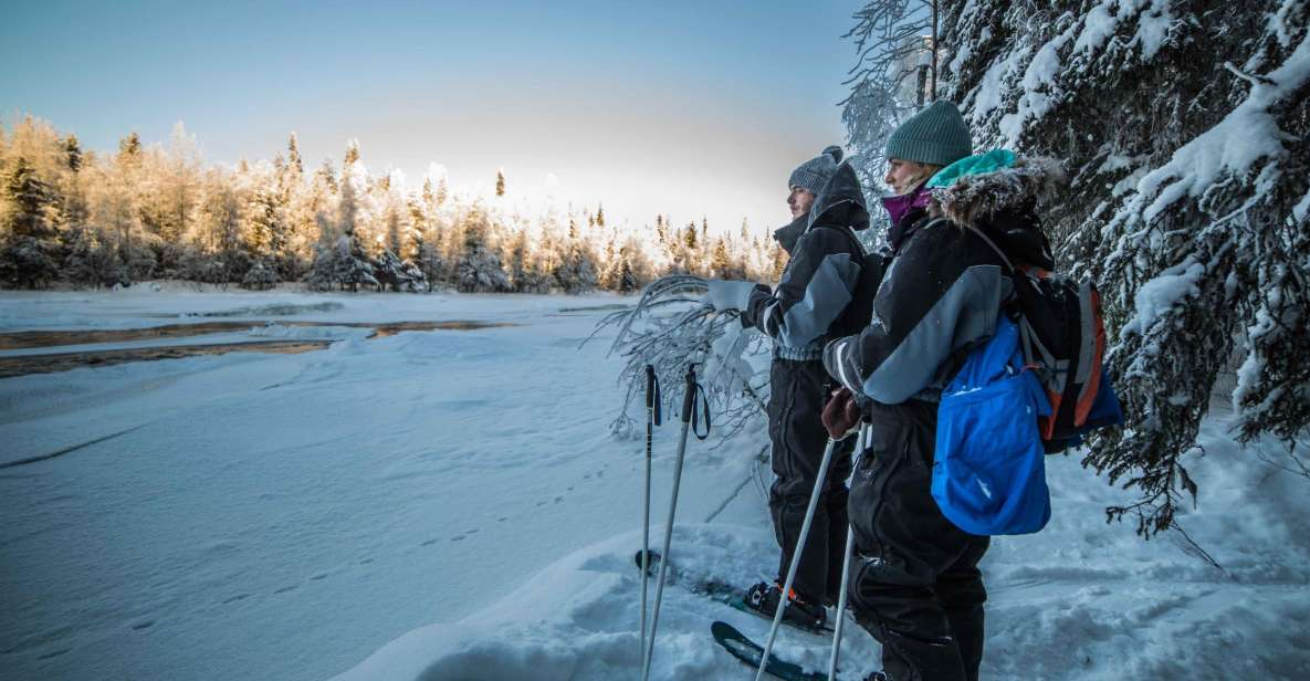 Rovaniemi: Backcountry Skiing Adventure - Nearby Attractions