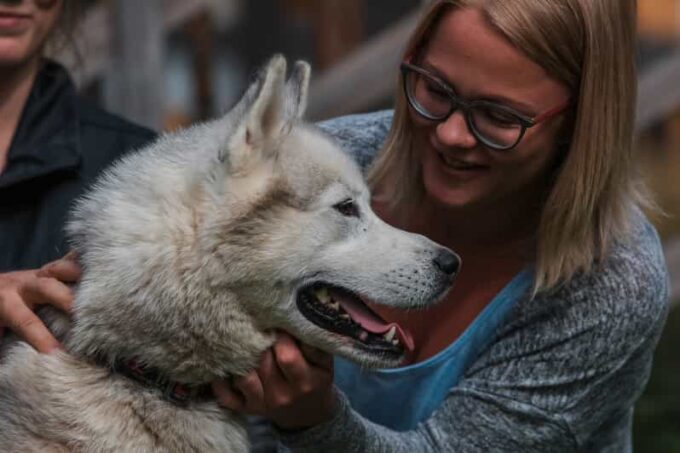 Rovaniemi: Day Trip to Reindeer Farm and Santa Claus Village - Tips for Your Visit