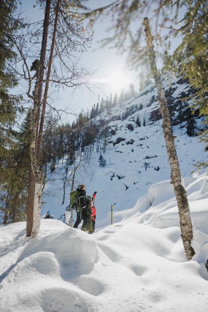 Rovaniemi: Frozen Waterfalls of Korouoma Canyon Hike - Customer Experience Ratings