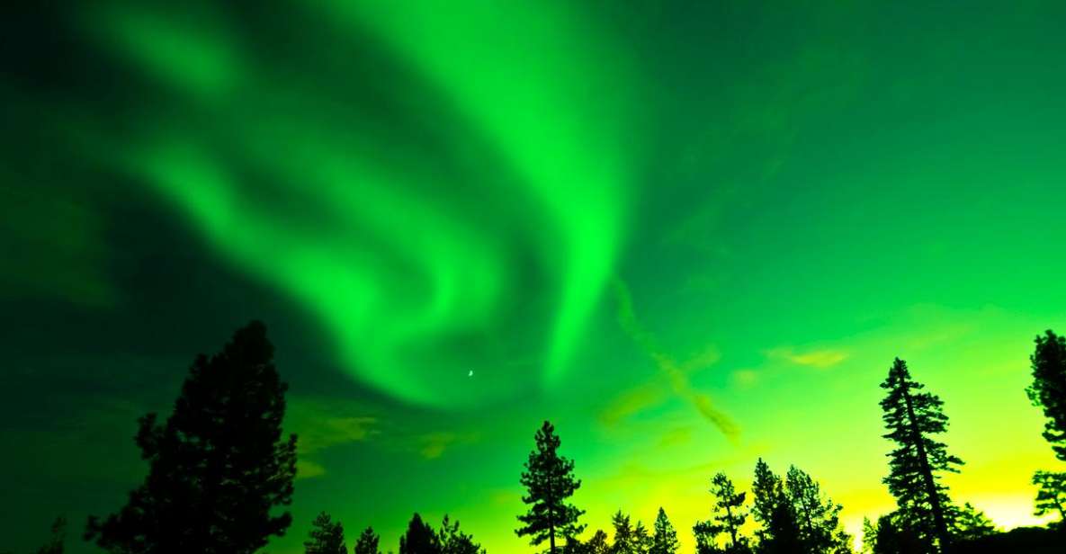 Rovaniemi: Guided Northern Lights Tour - Best Time to Visit