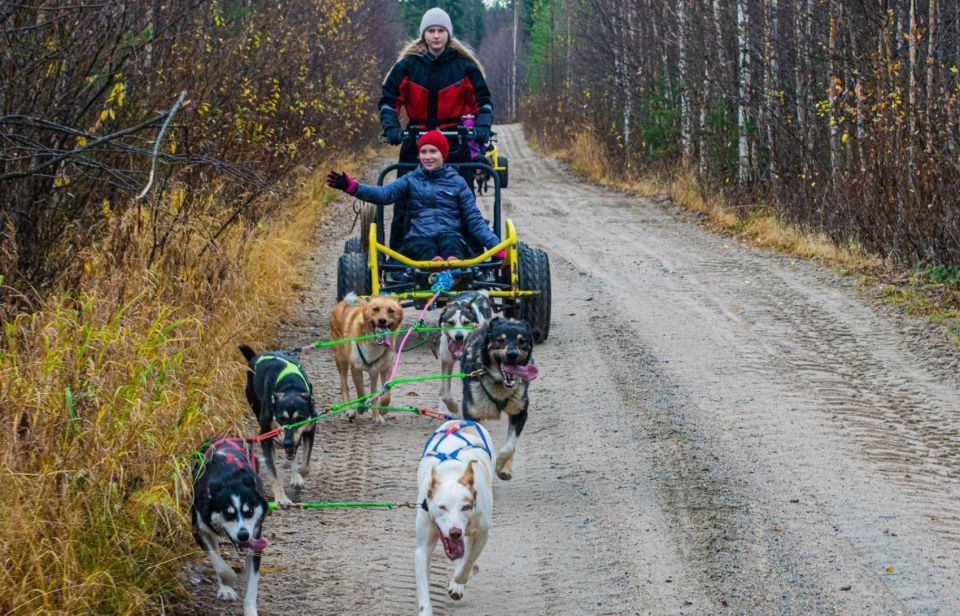 Rovaniemi: Husky Safari Tour & 6-10 Km Self-Driving Mushing - Frequently Asked Questions