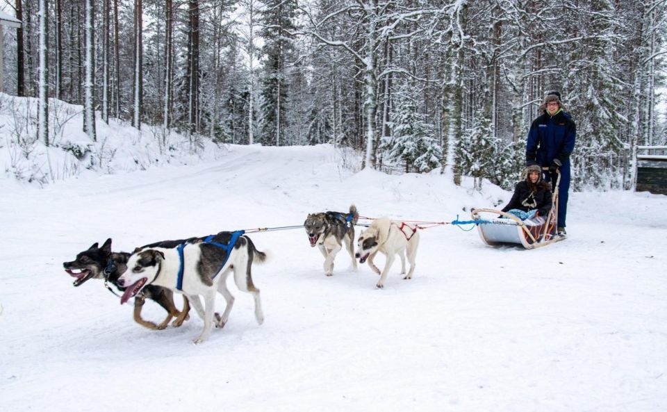 Rovaniemi: Husky Safari Tour & 6-10 Km Self-Driving Mushing - Additional Activities in Rovaniemi