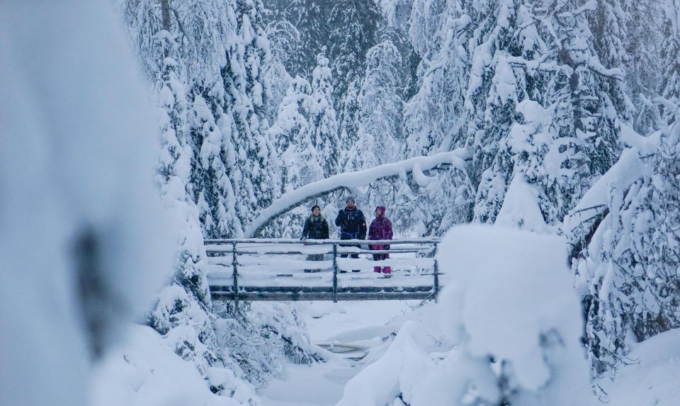 Rovaniemi: Korouoma Canyon and Frozen Waterfalls Tour - Customer Reviews and Ratings