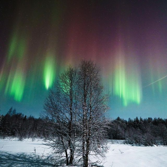 Rovaniemi: Northern Lights Hunt With a Photographer - Photography Tips