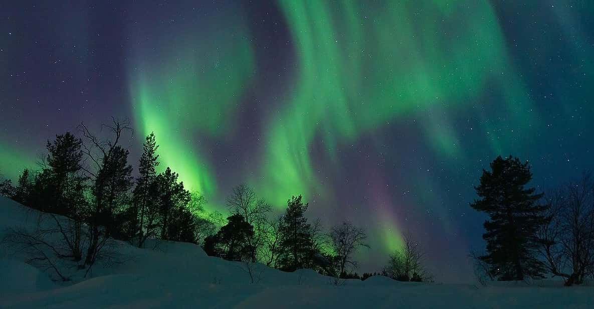 Rovaniemi: Private Aurora Borealis Car Tour With Hot Drinks - Booking Your Adventure