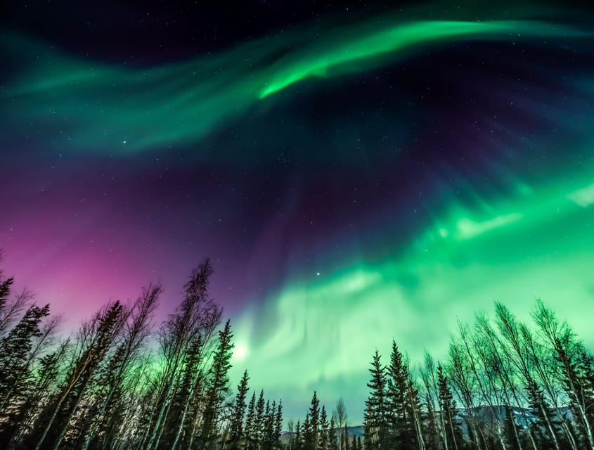 Rovaniemi: Private Aurora Hunting Tour With Meal - Important Considerations