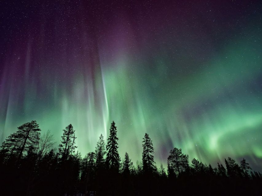 Rovaniemi: Private Tour With Guaranteed Northern Lights - What to Expect on the Tour