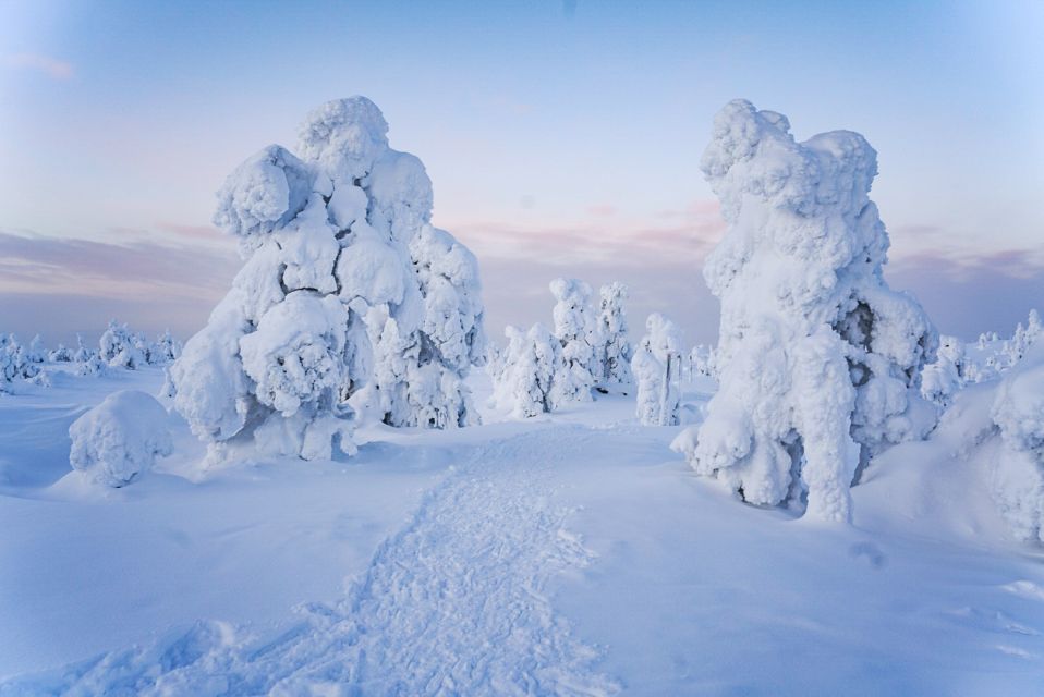 Rovaniemi: Riisitunturi National Park Day Trip With Lunch - What to Bring for the Trip