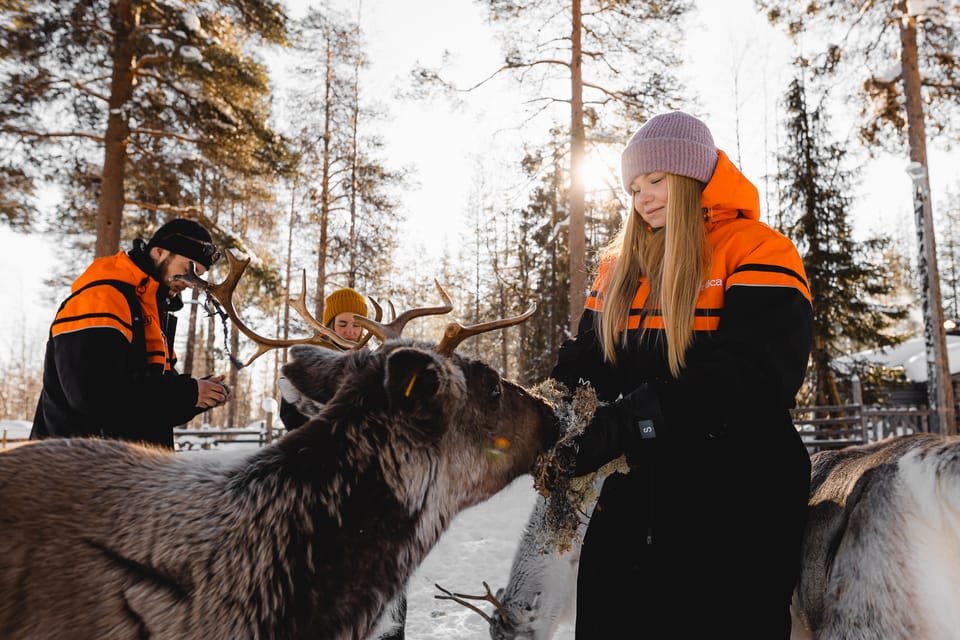 Rovaniemi: Santa Claus Village Tour, Reindeer Ride and Lunch - Customer Reviews and Ratings