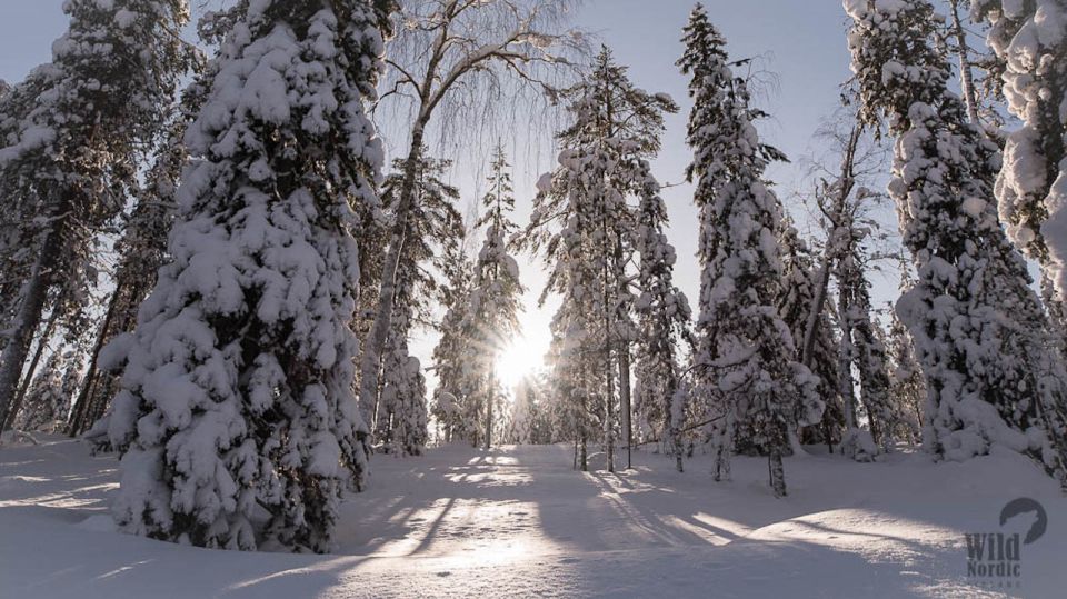 Rovaniemi: Snowmobile Safari Into the Arctic Circle Forest - Safety and Preparation Tips