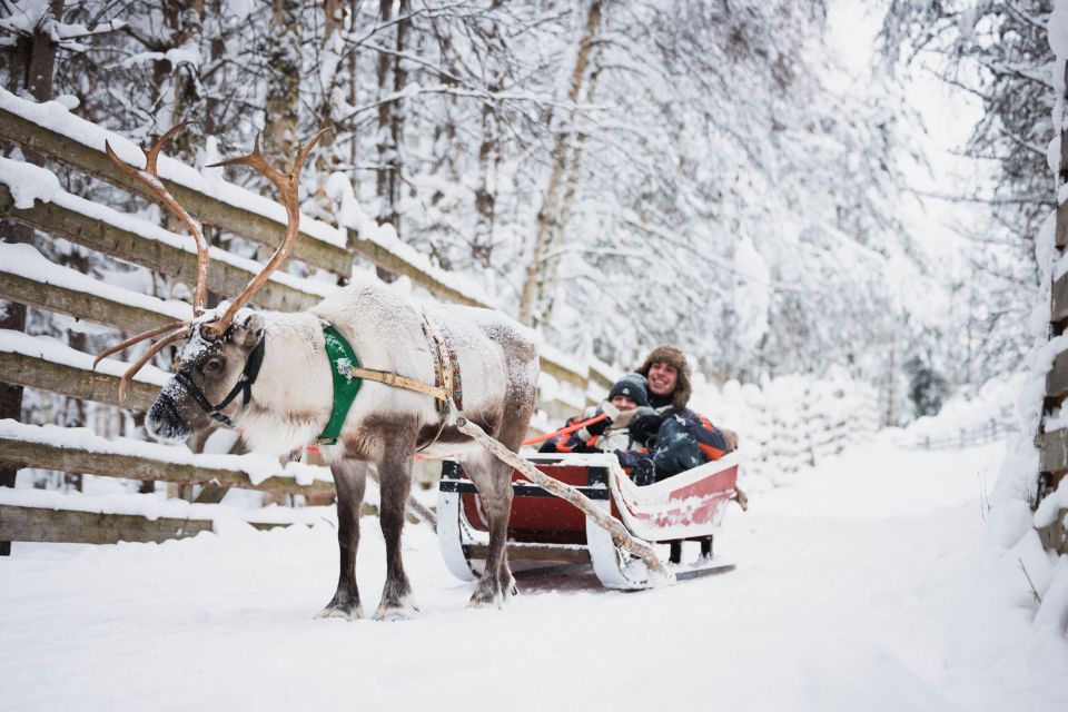 Rovaniemi: Snowmobile Tour and Reindeer Farm Experience - Booking and Cancellation Policy