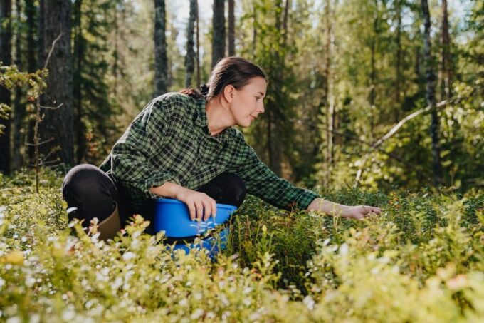 Rovaniemi : Trekking in the Heart of Nature - Safety and Accessibility Information