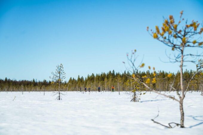 Rovaniemi: Winter Efatbike Tour in Snowy Forest - Tips for a Great Experience