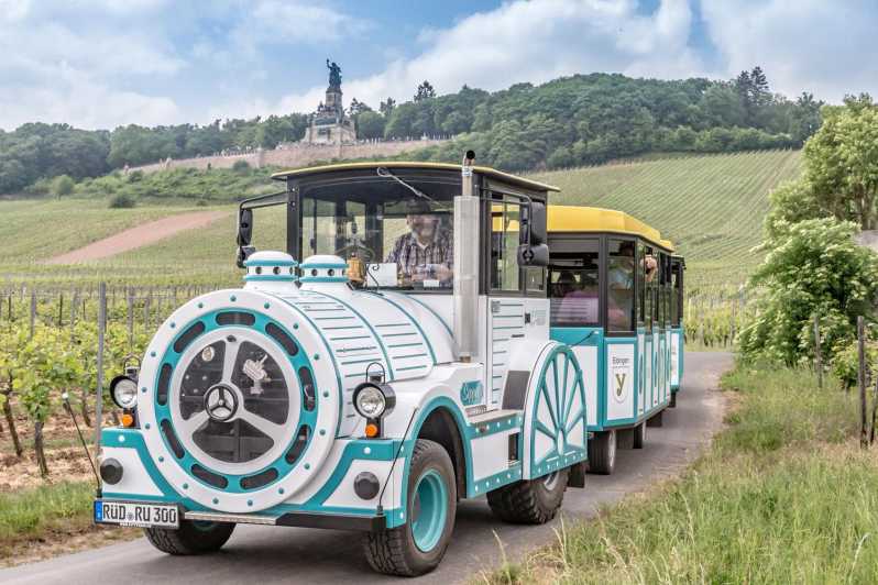 Rüdesheim Sightseeing Tour With the Winzerexpress - Scenic Viewpoints