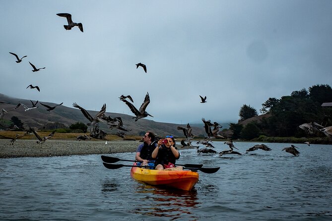 Russian River Kayak Tour at the Beautiful Sonoma Coast - Traveler Experiences and Reviews