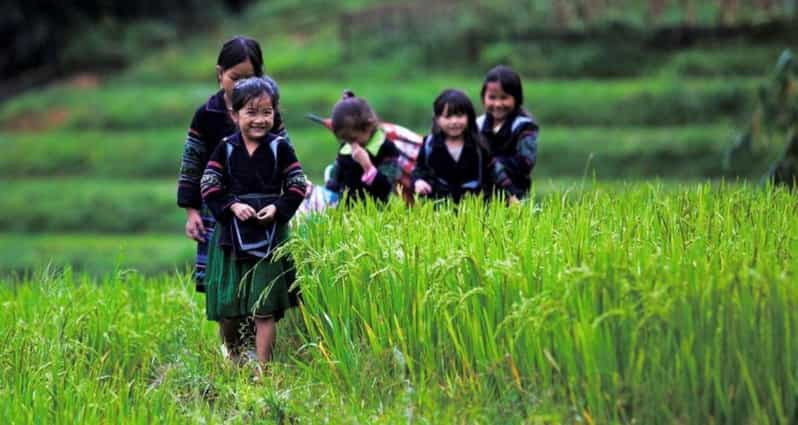 Sa Pa: 2-Day Trekking Tour With Ethnic Minority Homestay - Cultural Experiences