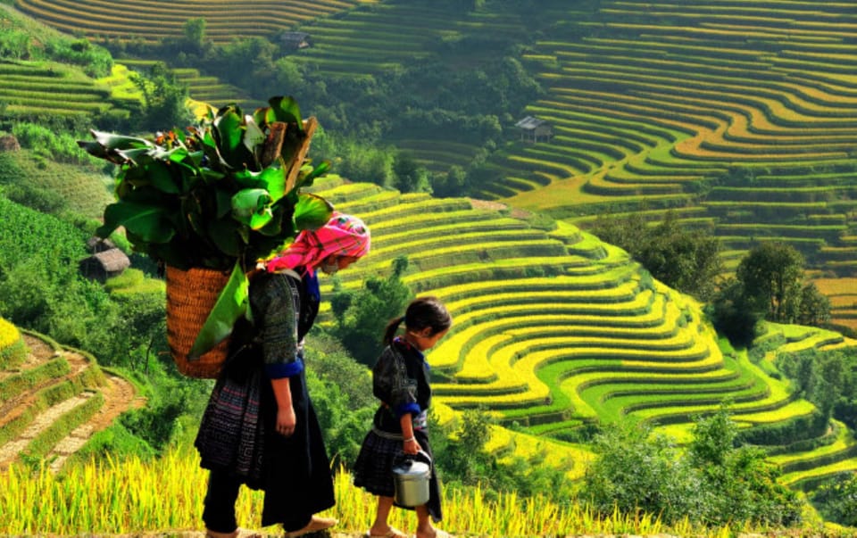 Sa Pa: Muong Hoa Valley Trek and Local Ethnic Villages Tour - Pricing and Booking