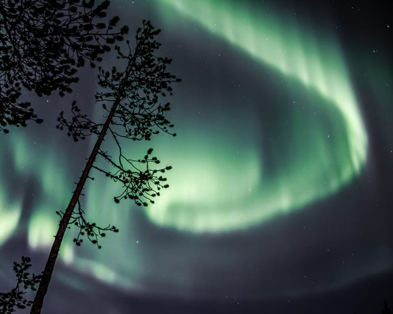 Saariselkä: Aurora Photo Tour by Car With Transfer & Drinks - Frequently Asked Questions