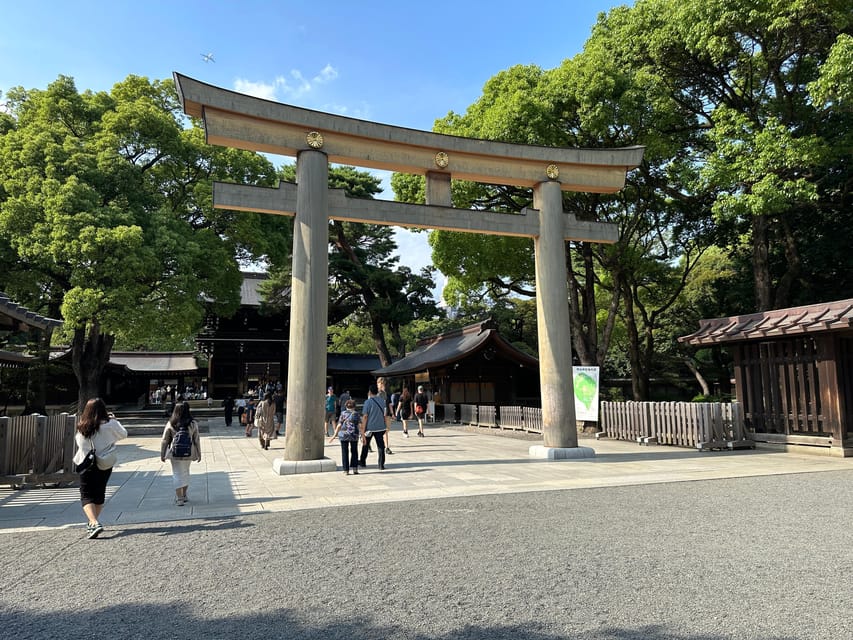 Sacred Morning Walk & Brunch-Meiji Shrine - What to Bring