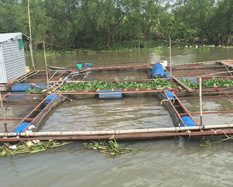 Saigon: Unique Local Tour in My Tho - Ben Tre - Tips for Travelers