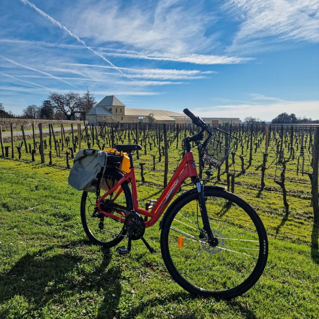 Saint Emilion Half Day Ebike and Wine Tour With Picnic - Customer Reviews