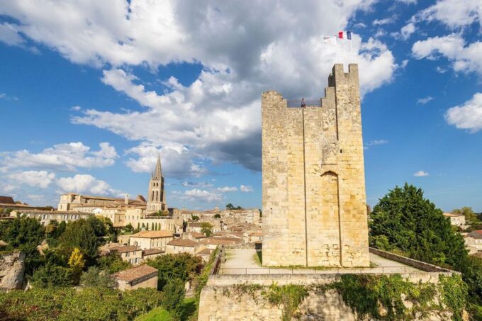 Saint-Emilion: Half-Day Wine Tour of Classified Estates - What to Expect