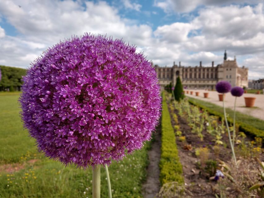 Saint-Germain-En-Laye: History, Forest, Paris View, Picnic! - Recommendations