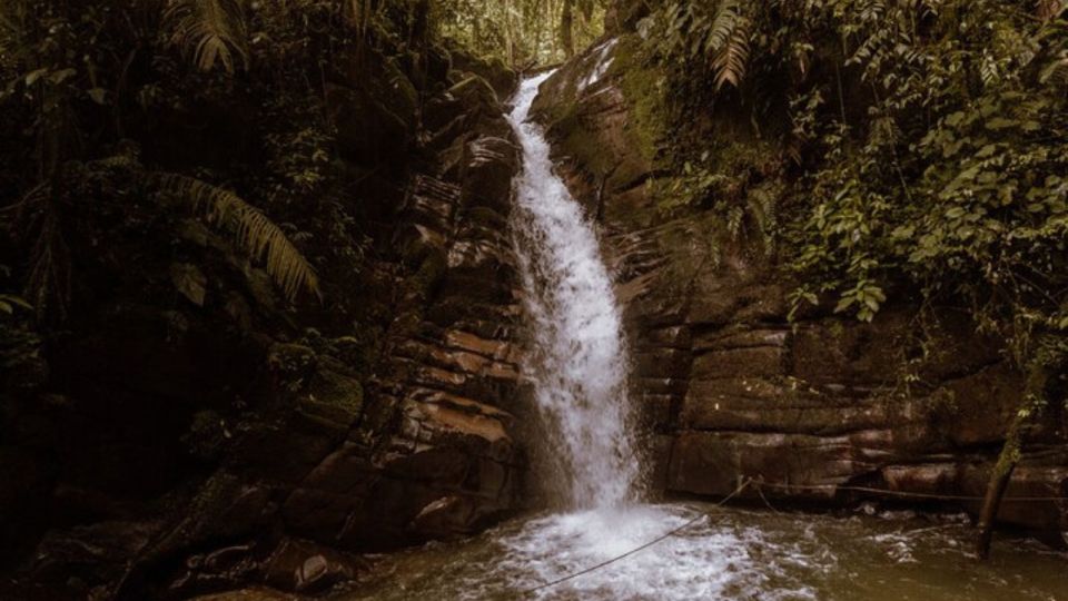 Salento, Cocora Santa Rita Waterfall From Pereira/Armenia - Group and Private Options