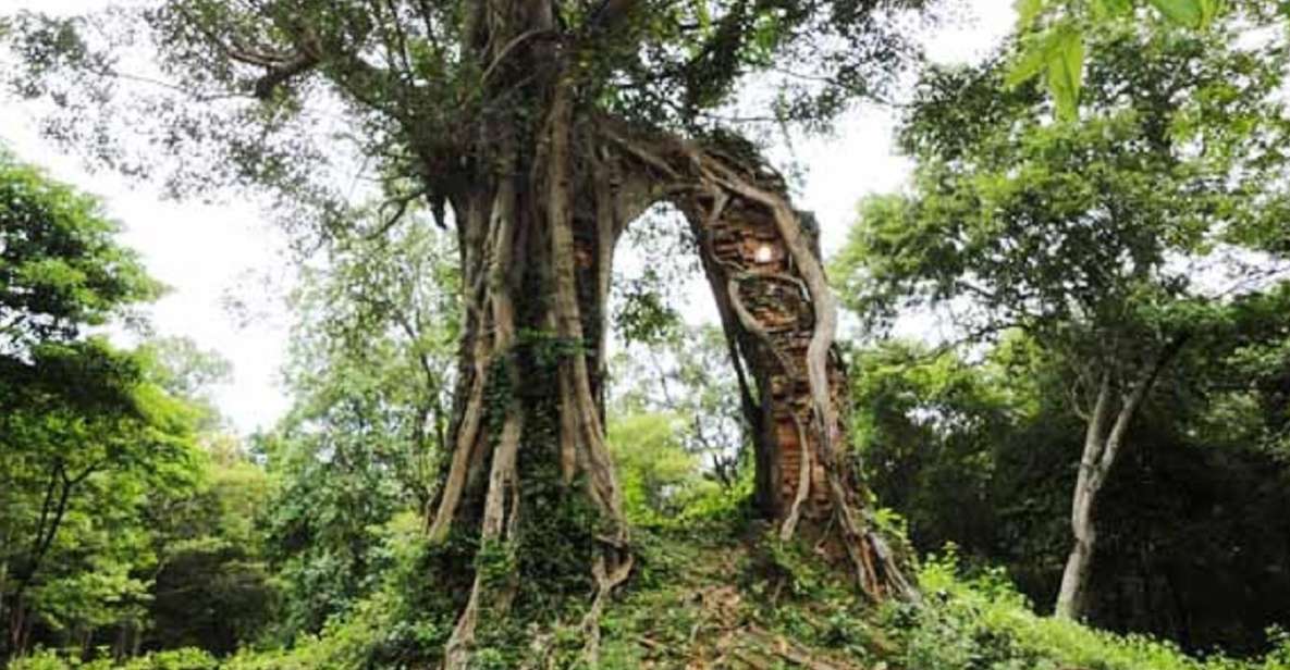 Sambor Prei Kuk Temple, Chenla Kingdom Full-Day Tour - What to Expect