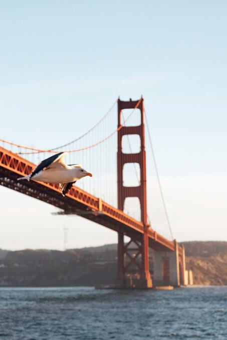 San Francisco: Easter Buffet Brunch or Dinner Bay Cruise - Included Amenities and Services