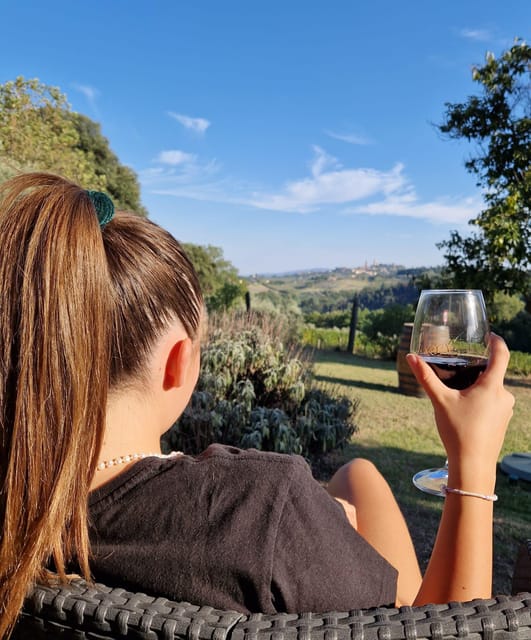 San Gimignano: Wines and Oil Tasting With Vineyards Tour - Exploring the Picturesque Vineyards