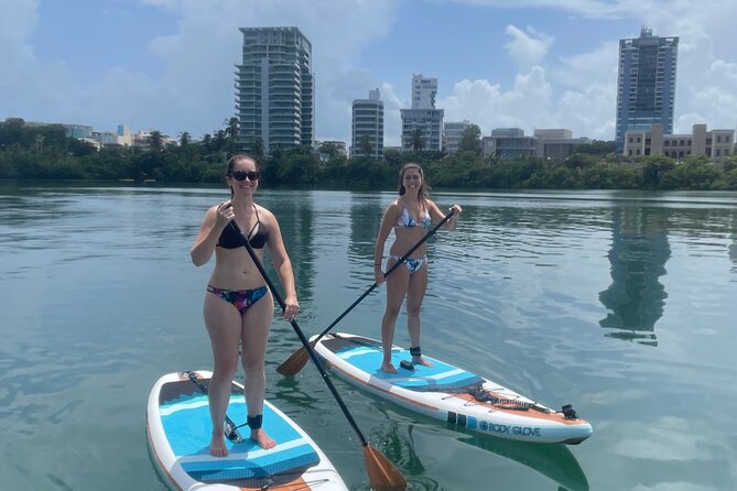 San Juan Guided Paddle Boarding Experience at Condado Lagoon - Wildlife Encounters