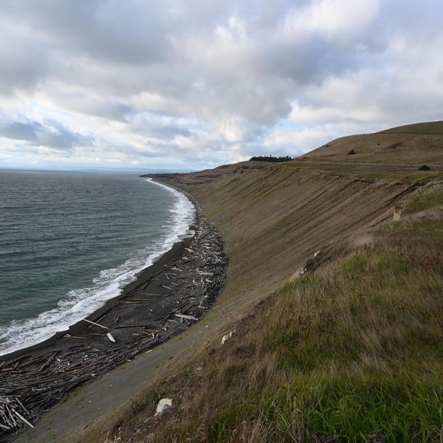 San Juan Island NP: Scenic Coast and Wildlife Hike - Scenic Views