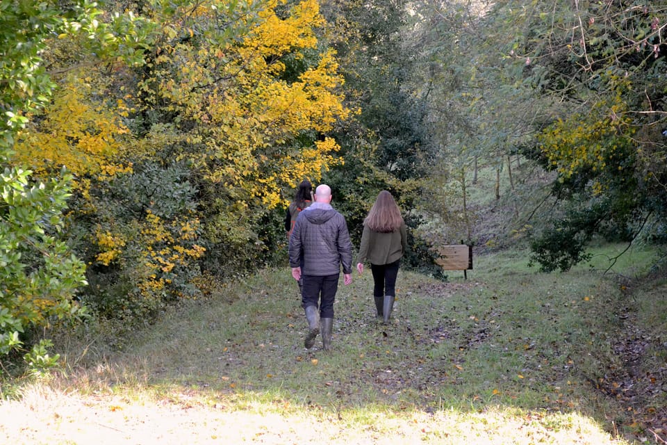 San Miniato: Truffle Hunting, Food, and Gourmet Experience - Important Participation Information