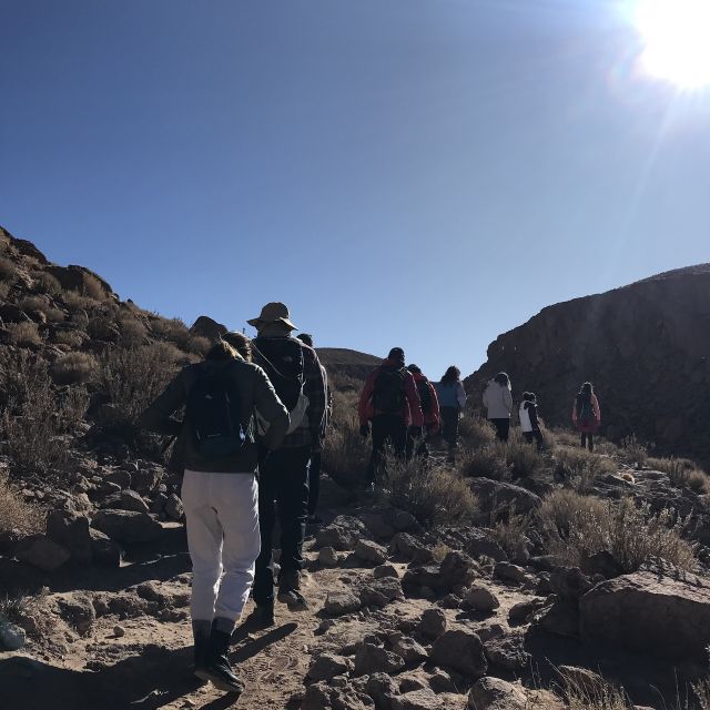 San Pedro De Atacama: Canyon Swimming Pools Trekking Trip - Customer Experiences