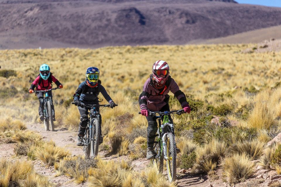 San Pedro De Atacama: Volcano Downhill Bike Tour - Pricing and Group Details