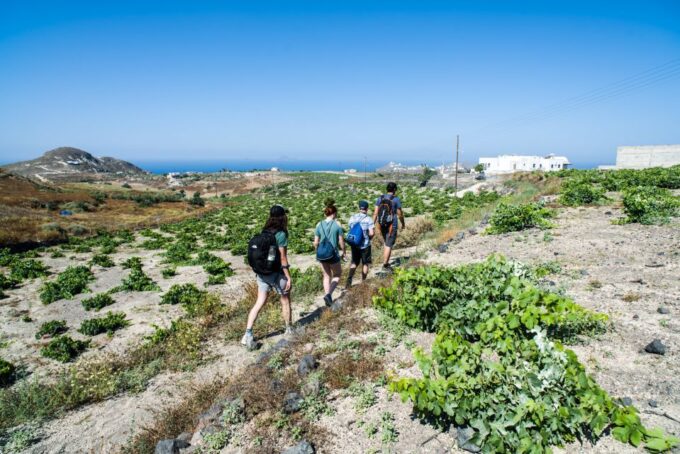 Santorini: Cooking Class and Easy Hike - Customer Feedback