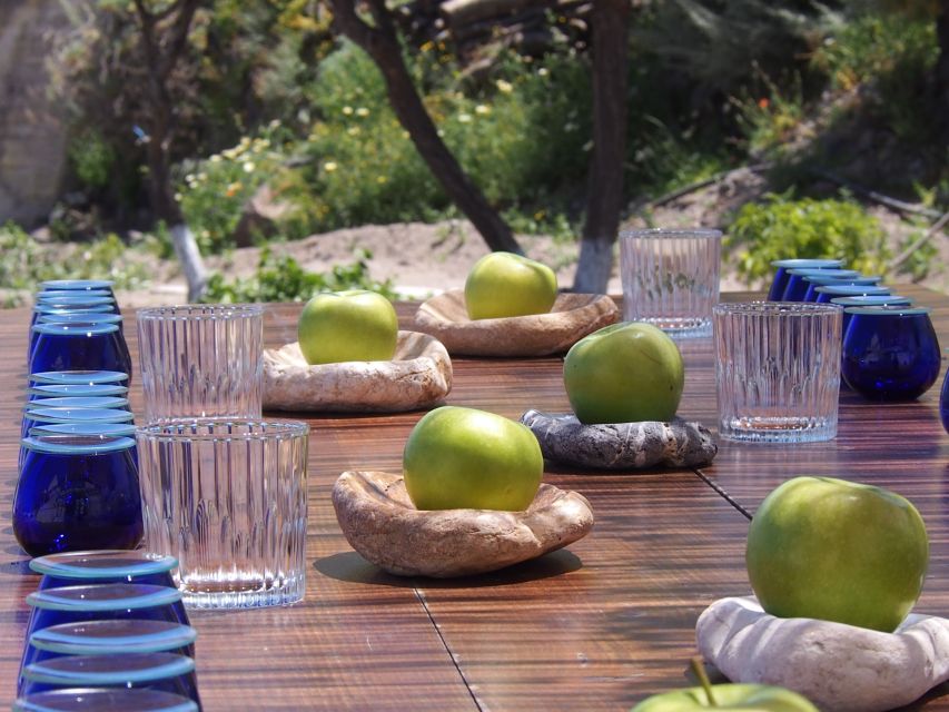 Santorini: Greek Olive Oil and Culinary Pairing Experience - Logistics and Meeting Information