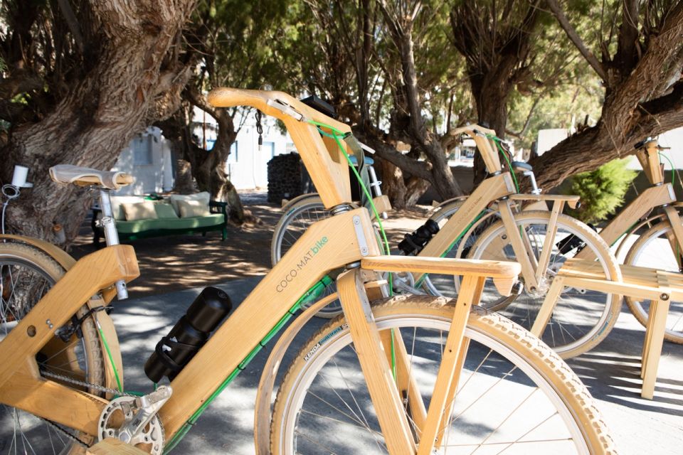 Santorinis Private Wooden E-Bike Tour With Lunch or Dinner - Customer Feedback