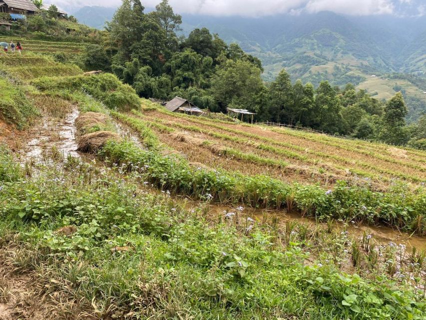 Sapa: Guided Full-Day Trekking Muong Hoa Valley With Lunch - Cultural Insights