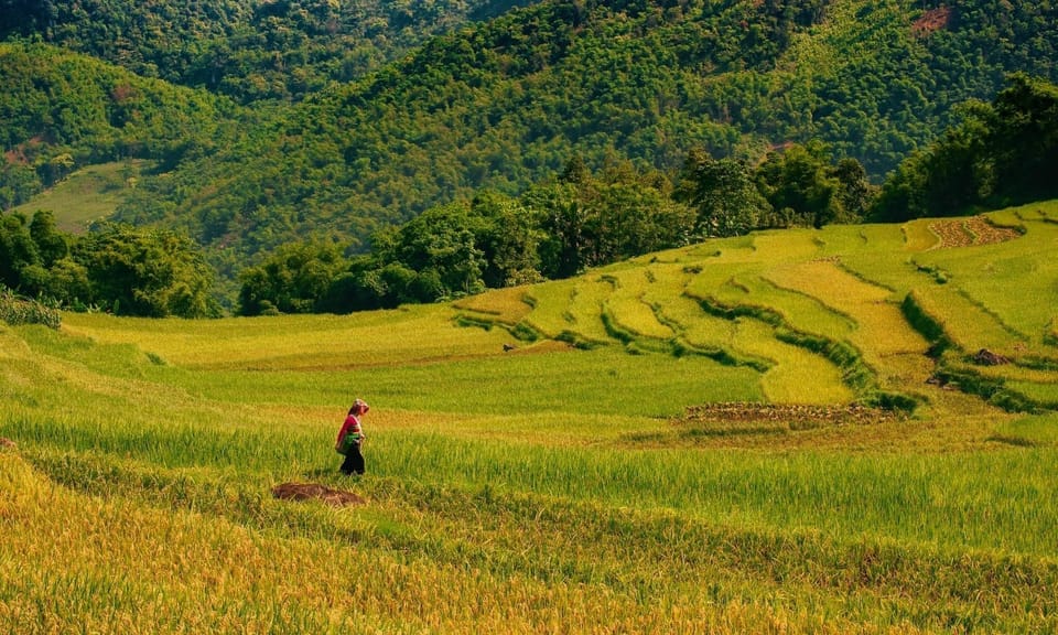 Sapa: Guided Tour With Local Culture and Rice Terraces - Environmental Considerations