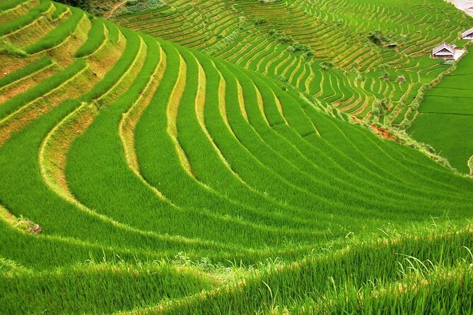 Sapa Most Beautiful Day Tour (Y Linh Ho - Lao Chai - Ta Van) - Booking Information