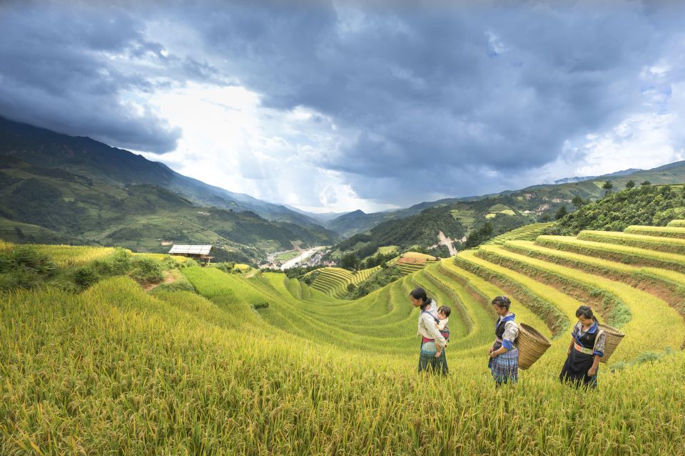 Sapa Package Tour 2 Days 1 Night With Trekking - Trekking Experience