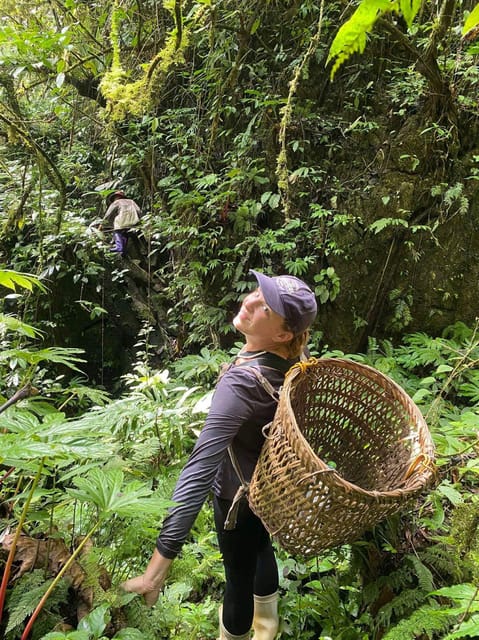 Sapa: Real Local Life of Dao People: Herbal Bath, Local Food - Essential Tour Inclusions