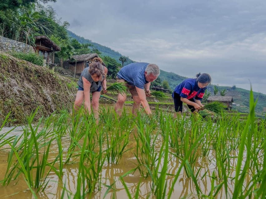 SAPA TREKKING & HOMESTAY: 3D2N - Pickup and Dropoff