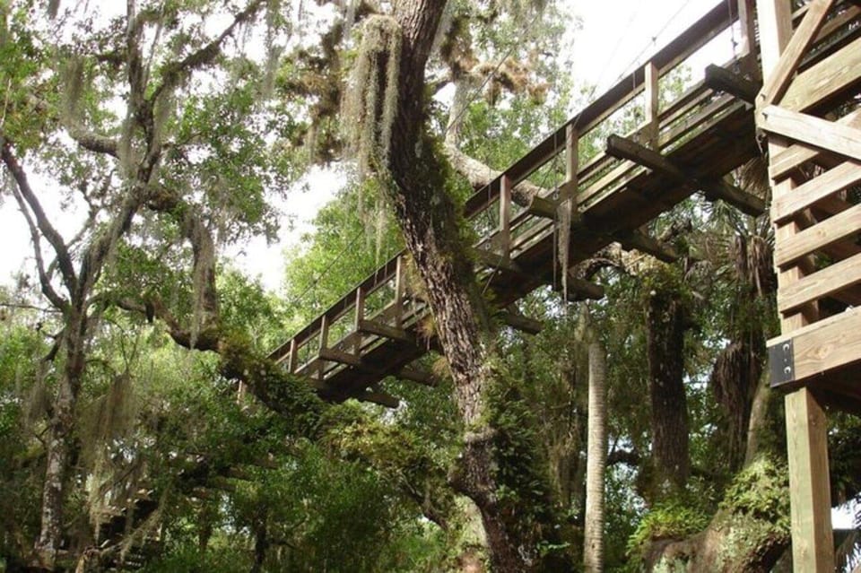 Sarasota: Myakka State Park E-bike Safari Experience - Exploring the Wetlands, Prairies, and Treetops