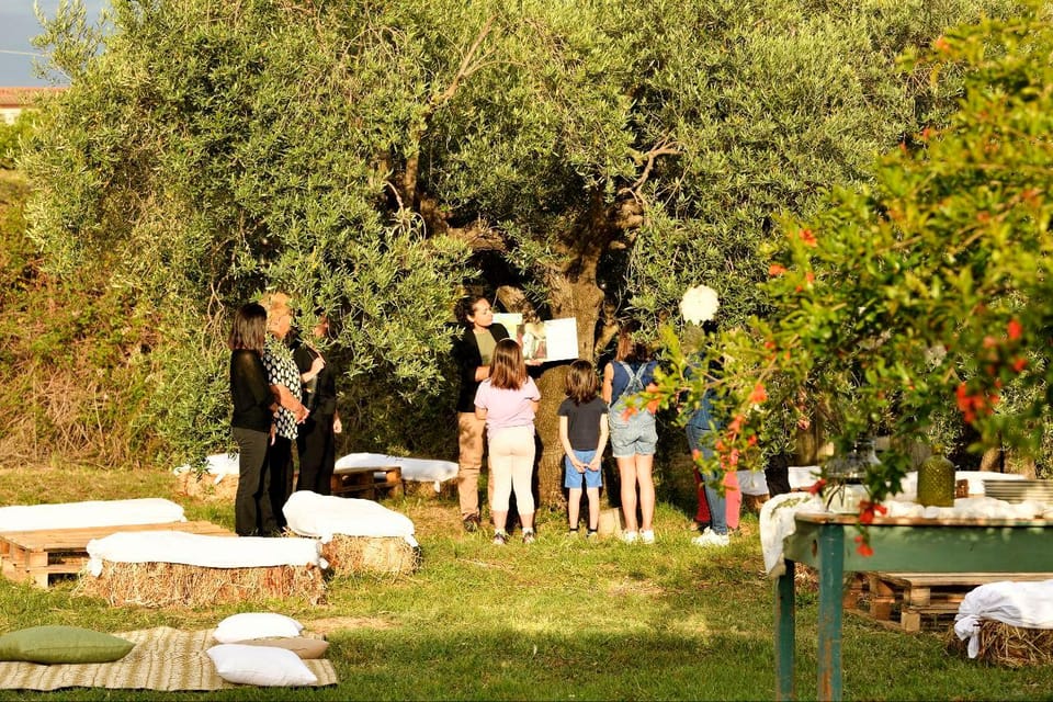 SARDINIA FOOD Tour in the Oil Mill, With Tasting, at Sunset. - Booking Your Experience