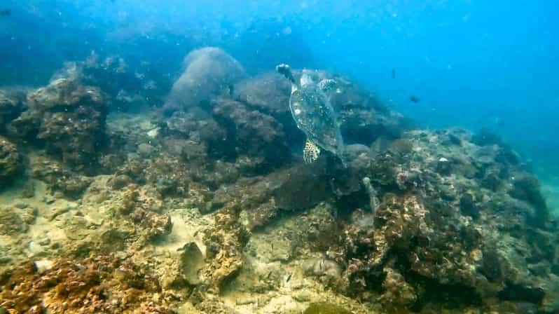 Scuba Diving From Stunning Coral Reef in the Heart of Phuket - Meeting Point