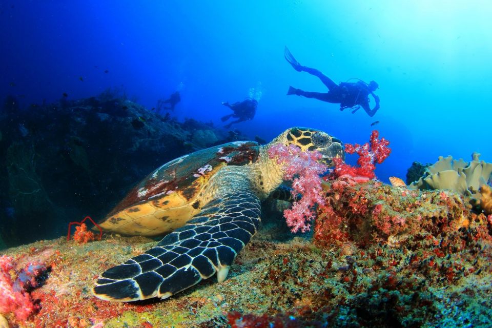 Scuba Diving Tour From Marmaris and Icmeler - Booking Process