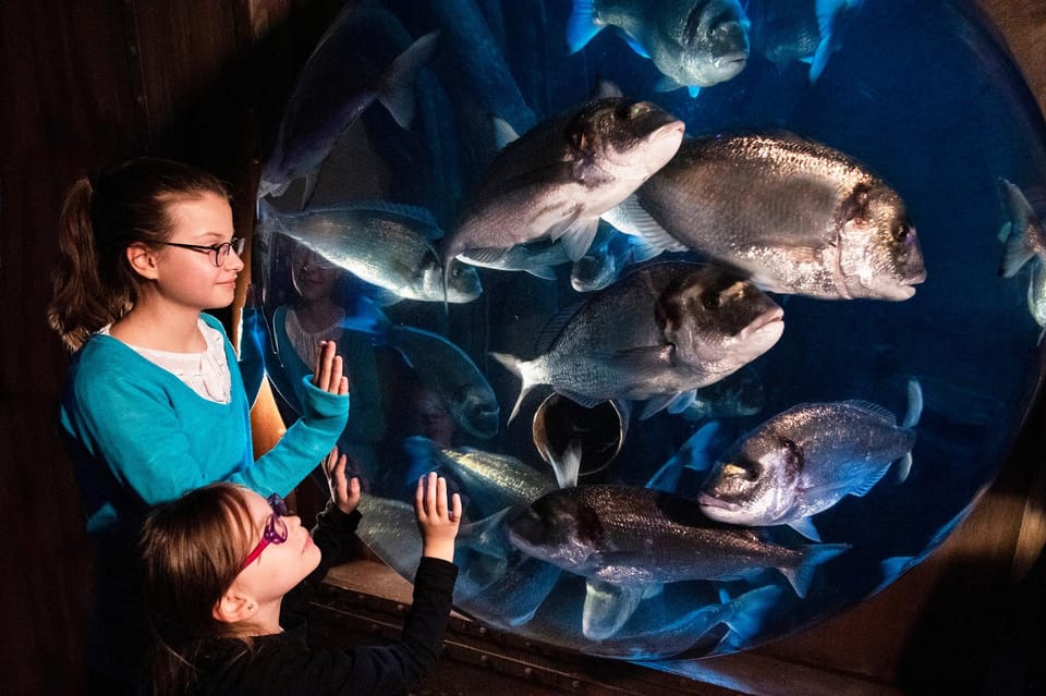 SEA LIFE Berlin Flashlight Tour - Aquarium Exploration